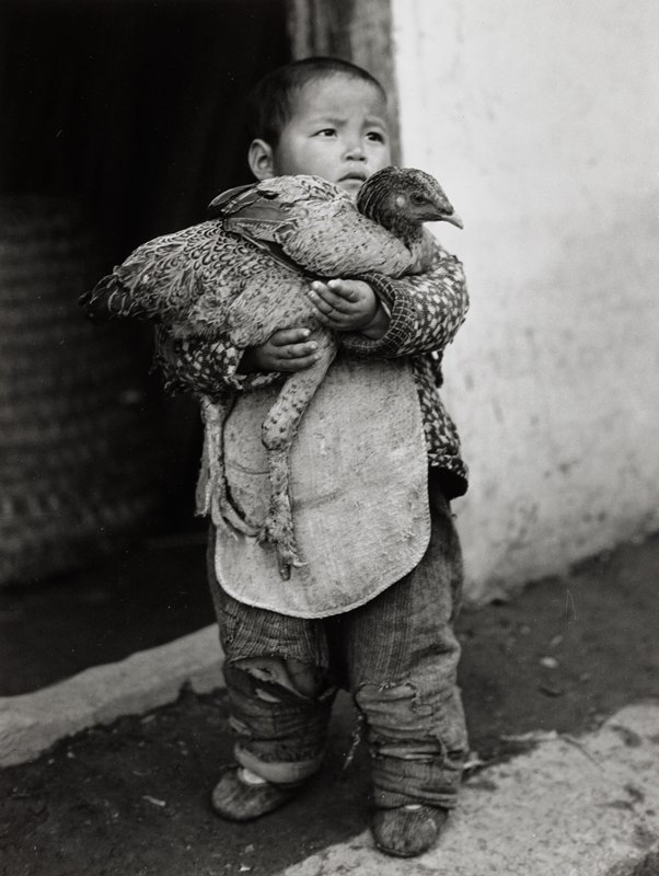 Boy with chicken, Hungjao, China, Arthur Rothstein, 1945 (printed 1981)