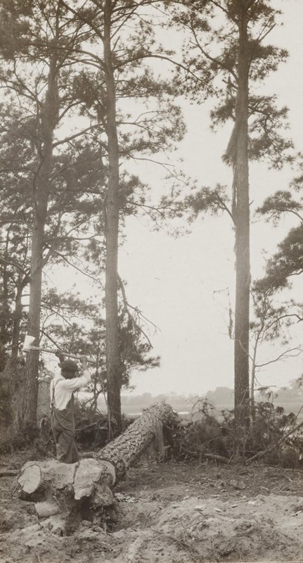 Untitled, Rudolf Eickemeyer, Jr., 1921