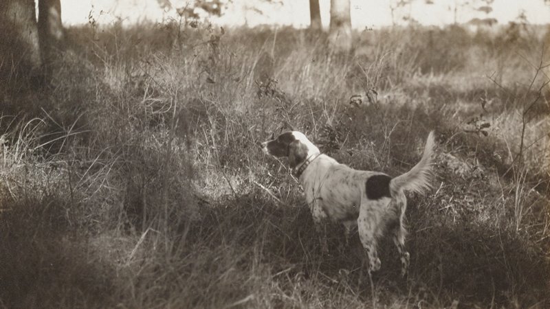 Untitled, Rudolf Eickemeyer, Jr., 1921