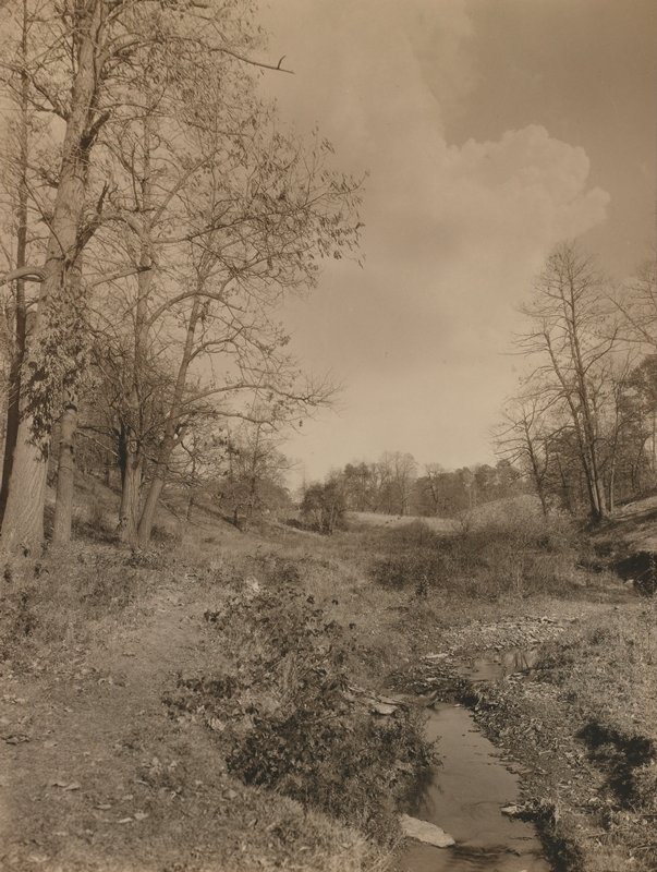 Untitled [trees and stream], James Bartlett Rich, 20th century