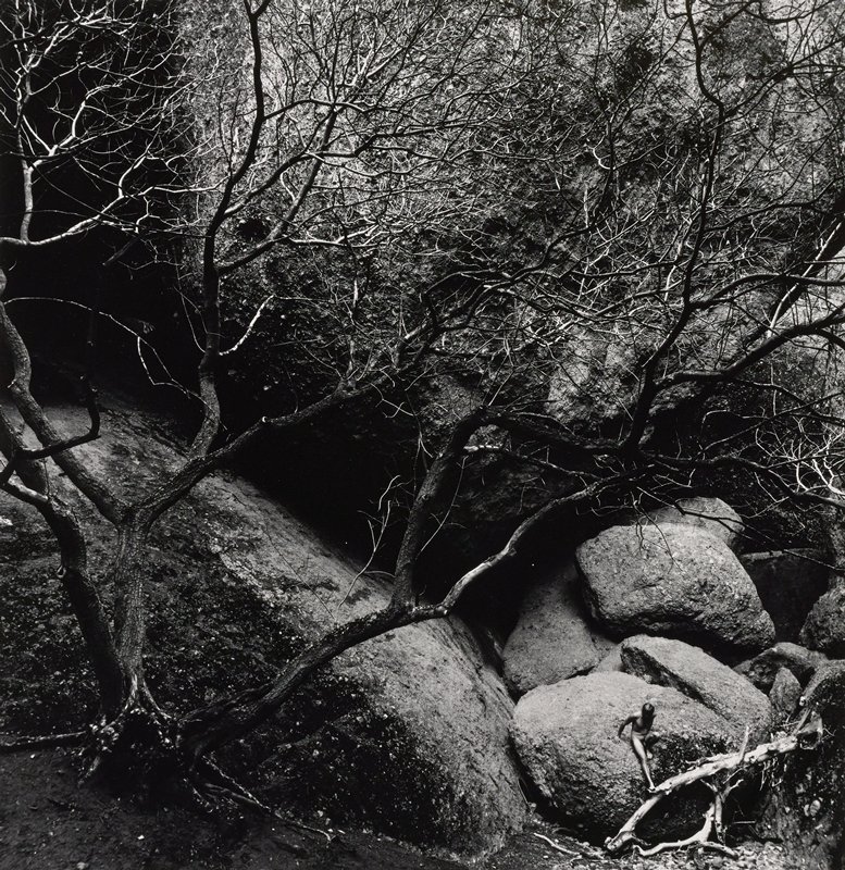 Untitled, R. Valentine Atkinson, c. 1975