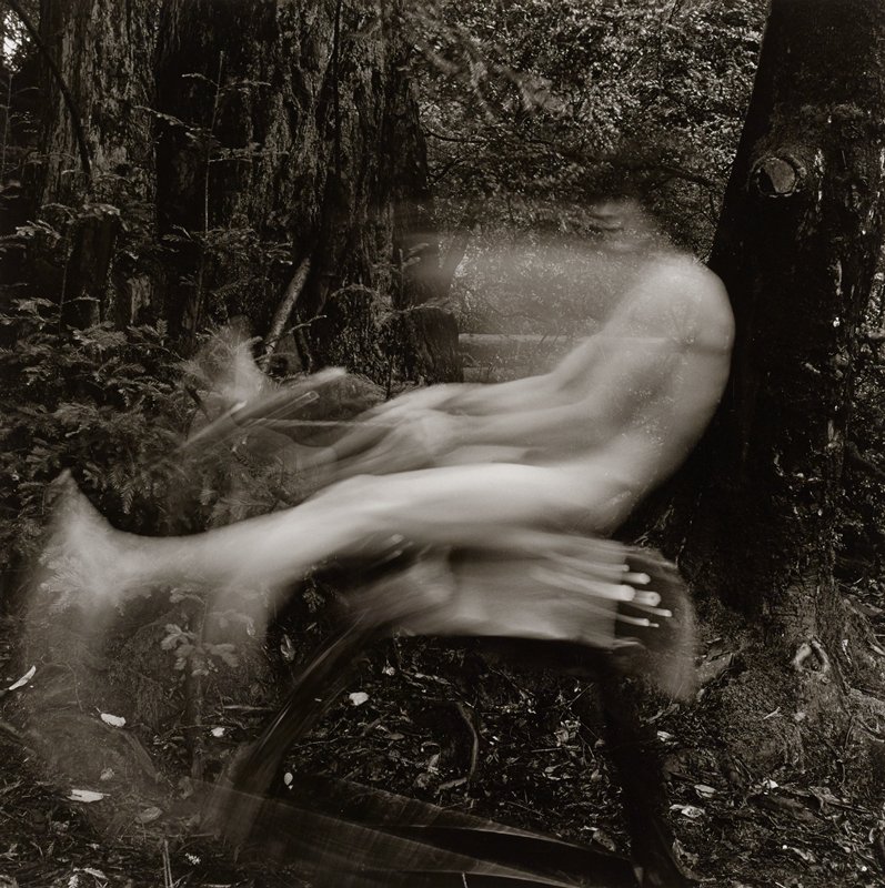 Untitled, Susan Friedman, 1976