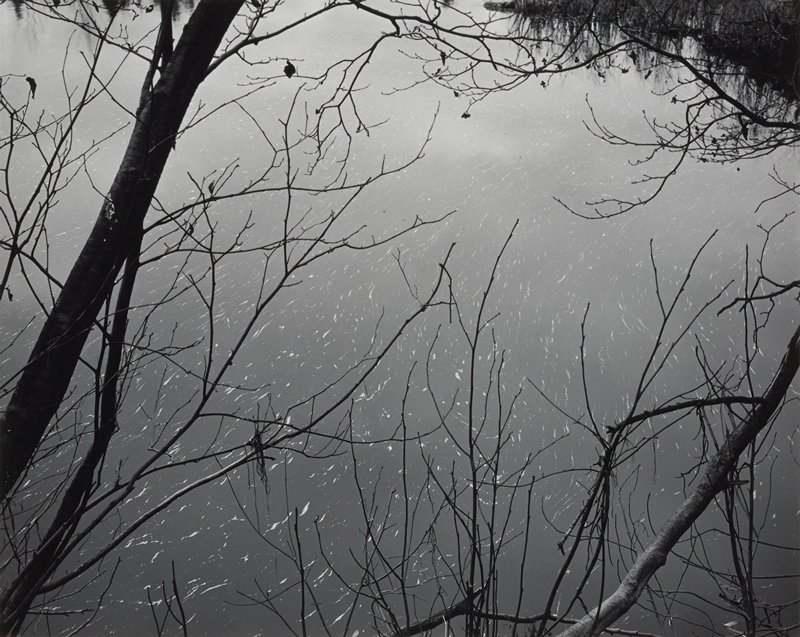 Foam on Water, Jay Cooke Park, Minnesota, Will M. Agar, 1973 (printed early 1980s)