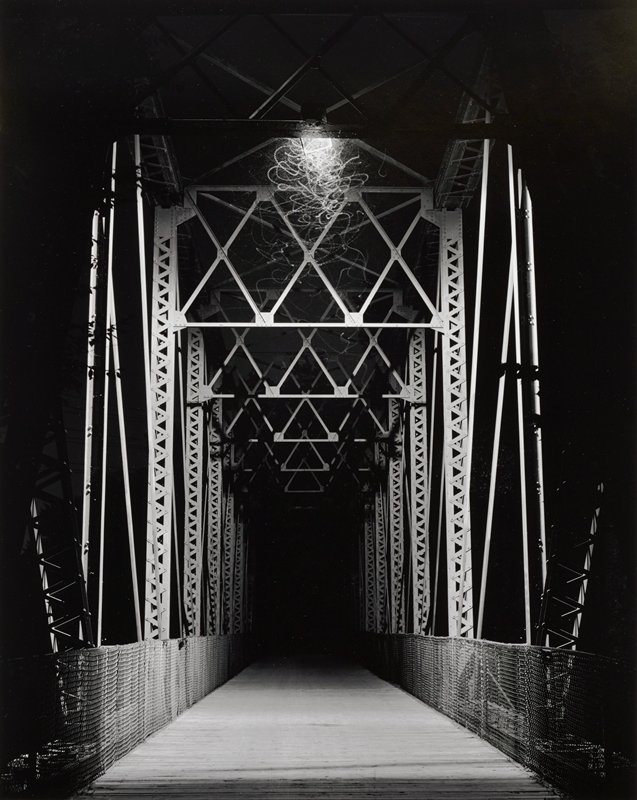 Bugs, Minneapolis, Will M. Agar, 2002 (printed 2005)