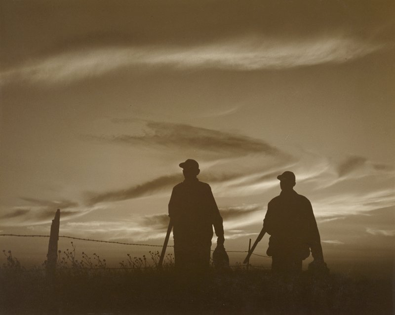 Homeward Bound, Martin Bovey Jr., 1948
