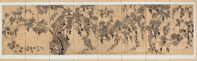 Grapevines, late 19th century