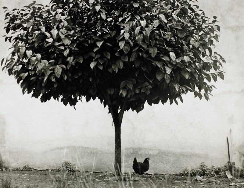 France, Edouard Boubat, 1951