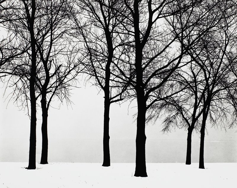 Chicago, Harry Callahan, 1950