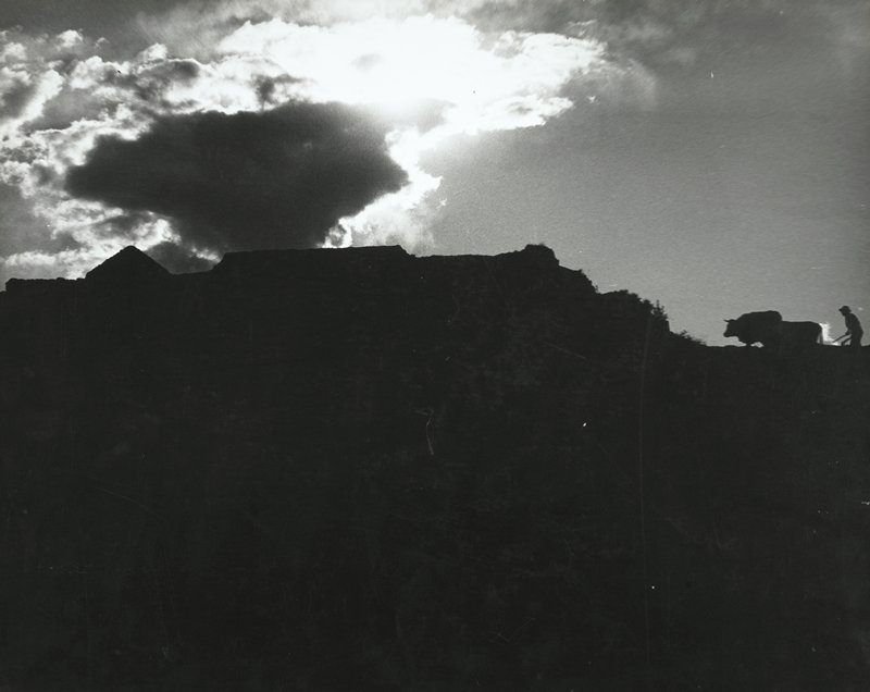 Plowing at Sunset, Betanzos, Bolivia, Esther Glaser Parada, 1964–66
