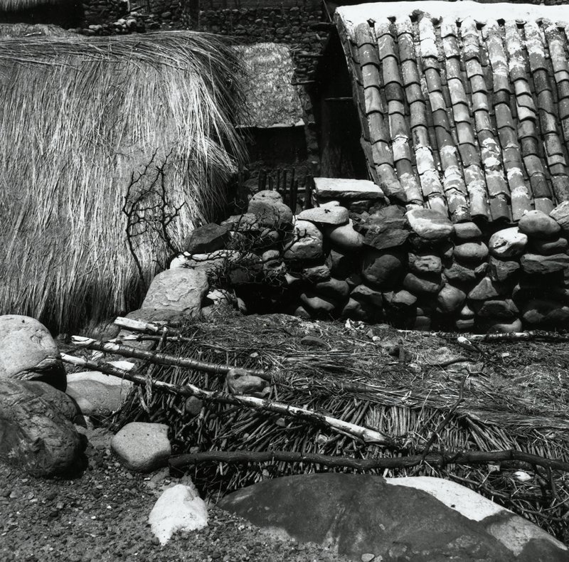 Bolivia, Esther Glaser Parada, 1964–66