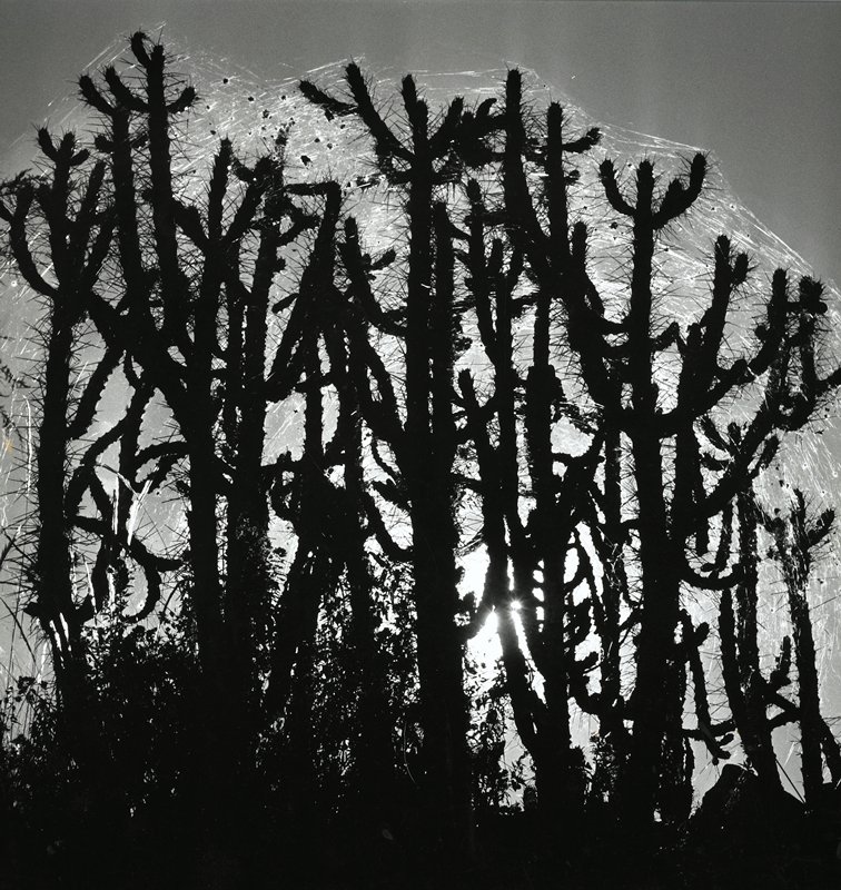 Bolivia, Esther Glaser Parada, 1964–66