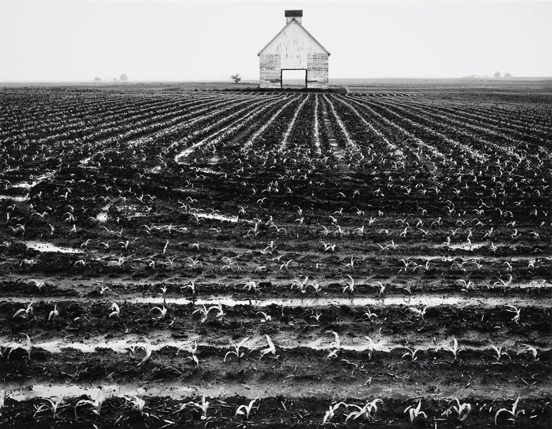 Barn and Corn, Henry E. Gilpin, 1986