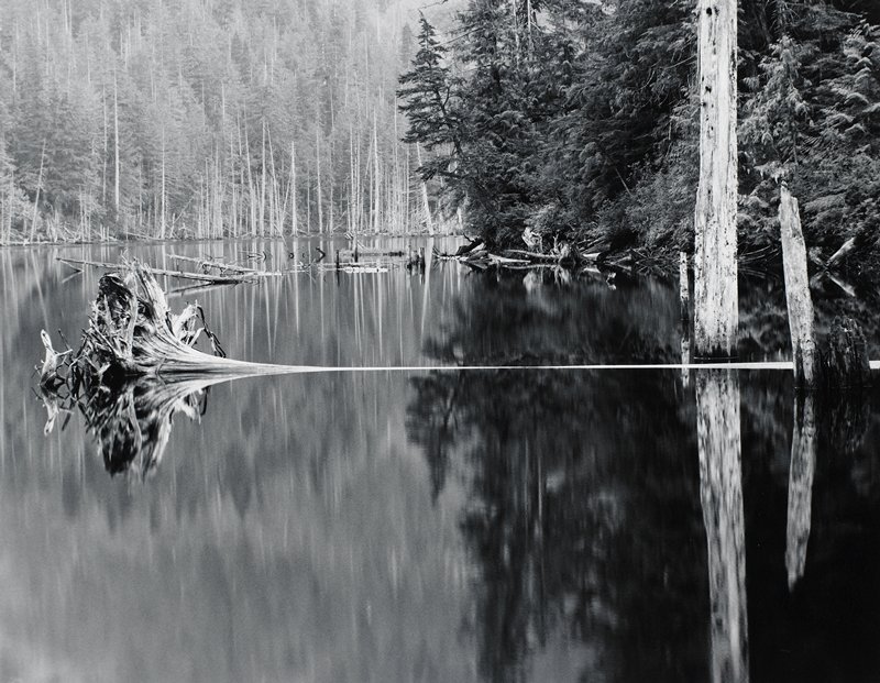 Untitled, Henry E. Gilpin, 1991 (printed 1992)