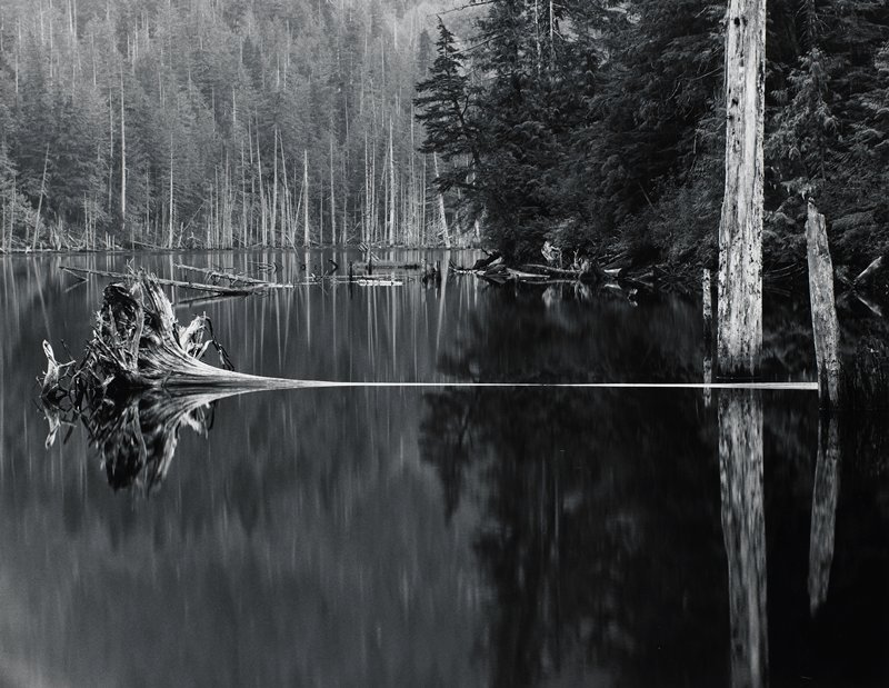 Untitled, Henry E. Gilpin, 1991 (printed 1995)