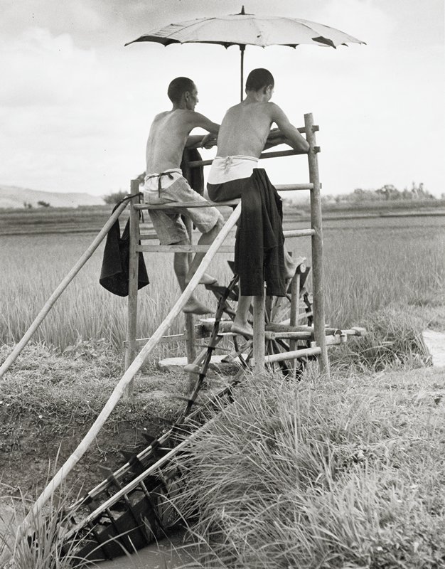 Wooden Paddled Water Wheel on Family Farm, China, Carl Mydans, 1941