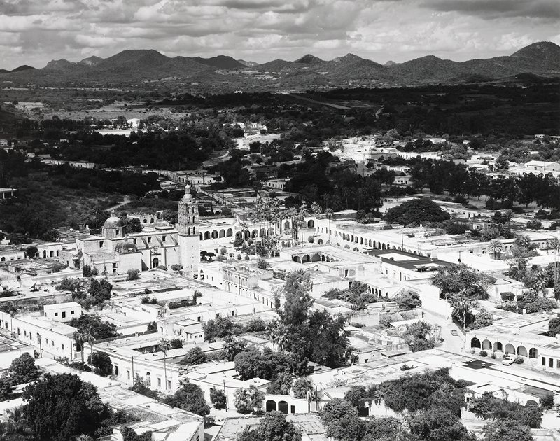 Alamos from Jumping Bean Hill, Mexico, Donald Ross, 1985