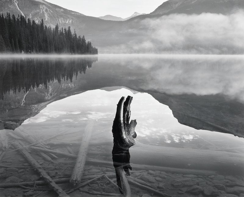 Stump, Early Morning Mist, Emerald Lake, Canada, John Sexton, 1988