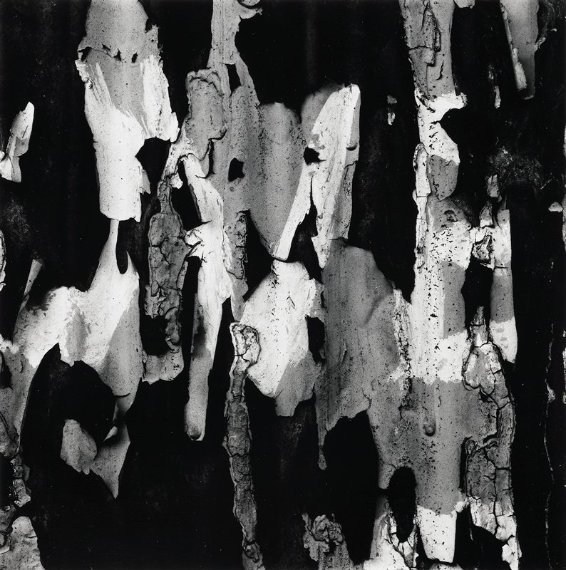 New York 329, Aaron Siskind, 1978