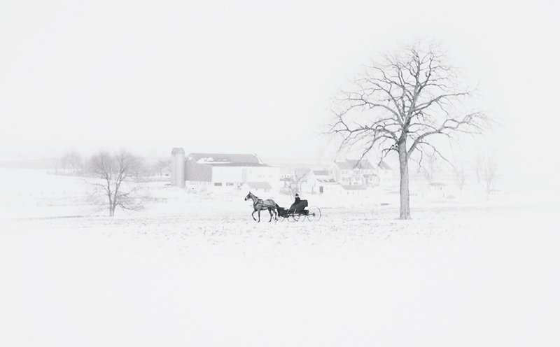 Horse and Buggy, Lancaster, Pennsylvania, George A. Tice, 1961