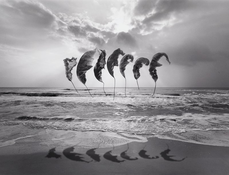 Untitled, Jerry N. Uelsmann, 1988