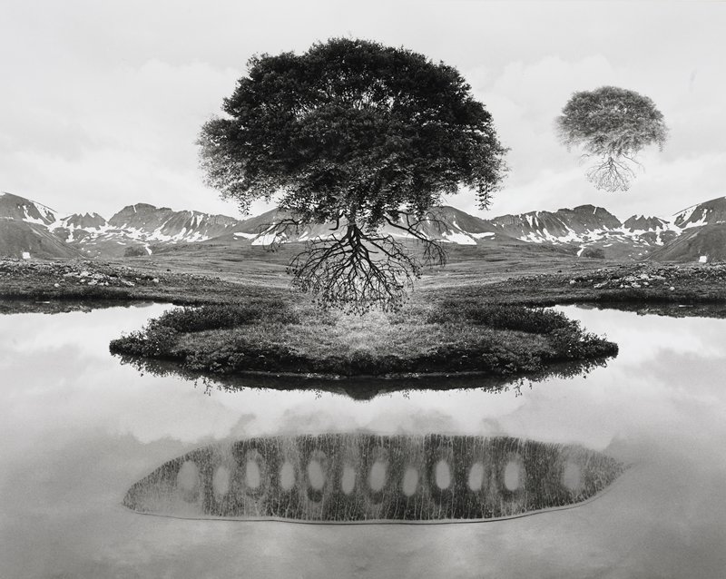 Untitled, Jerry N. Uelsmann, 1969