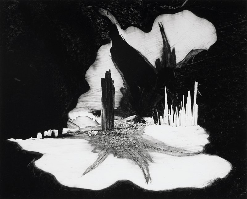 Bloomfield, New York, Paul Caponigro, 1957