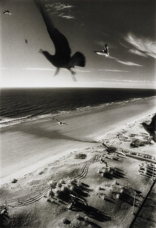 Untitled, Jane Tuckerman, 1980
