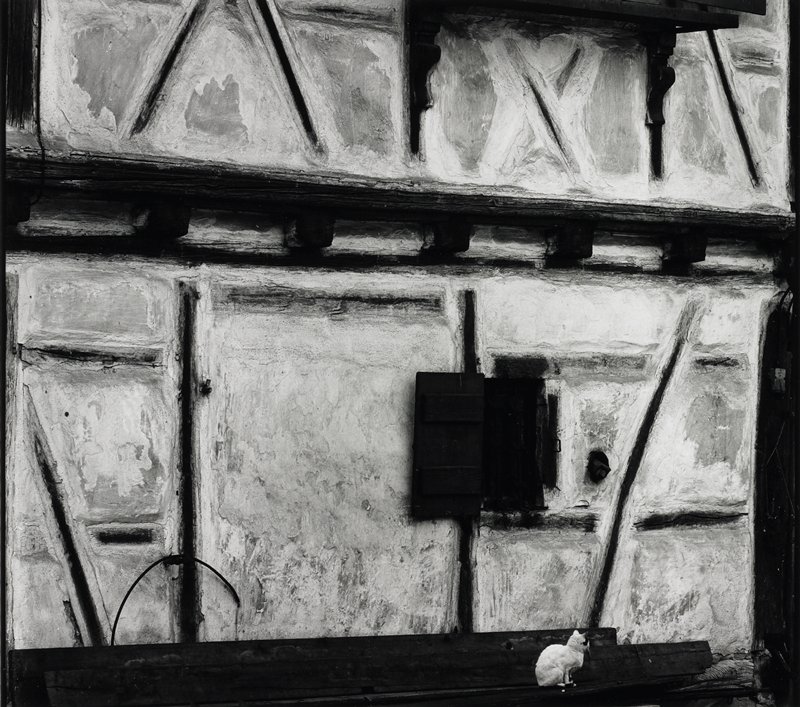 Untitled, Brett Weston, 1973