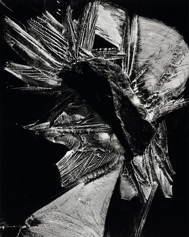 Untitled, Brett Weston, 1976