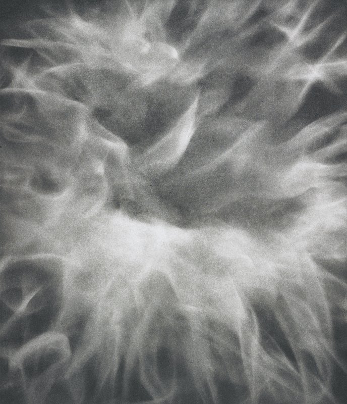 Pyre X, Bernice Ficek-Swenson, 2001–2006