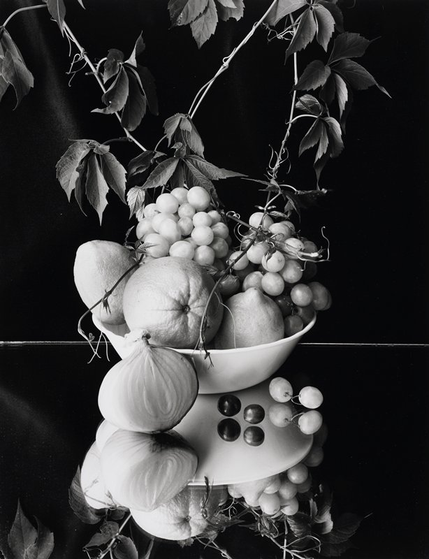 Fruits and Onion, Frederick B. Scheel, January 2001