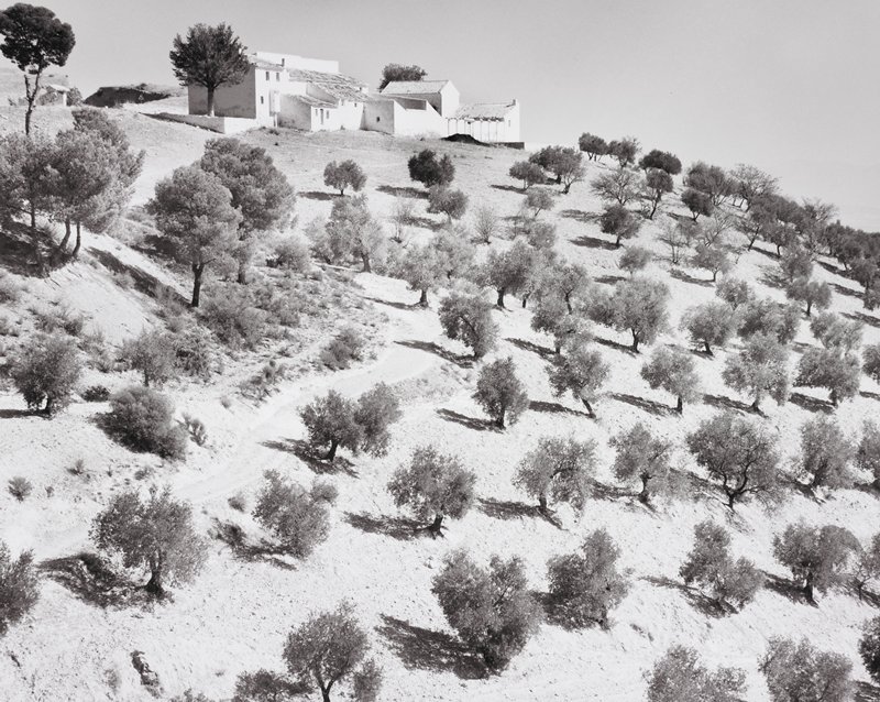 White Villa and Olive Grove near Bedmar, Jaen, Spain, Frederick B. Scheel, October 30, 1982