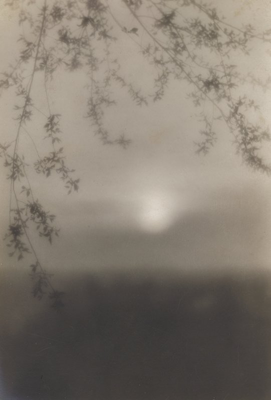Untitled [thin branches over hazy sun], J. H. Field