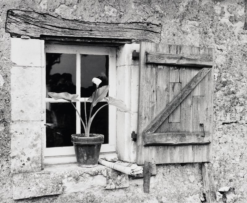 Lily and Newspaper, Farmhouse near Tours, France, Frederick B. Scheel, May 1971