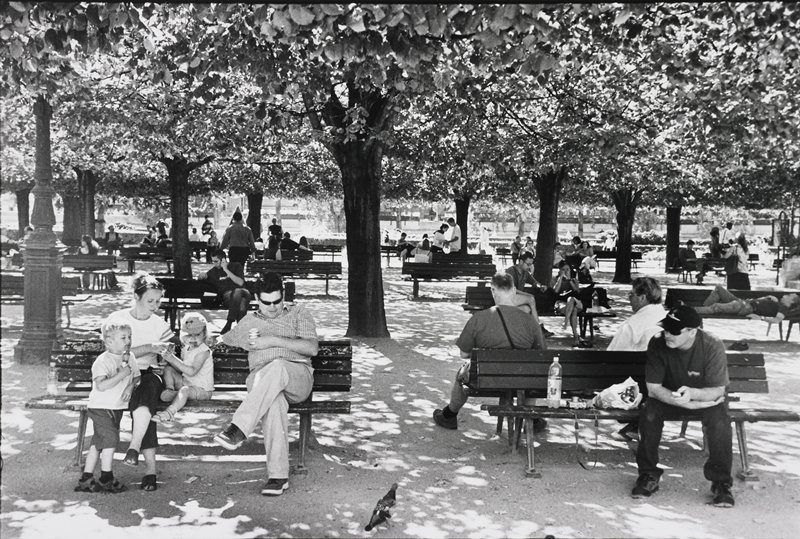 Shade Trees, Notre Dame, Paris, Frederick B. Scheel, September 20, 2003