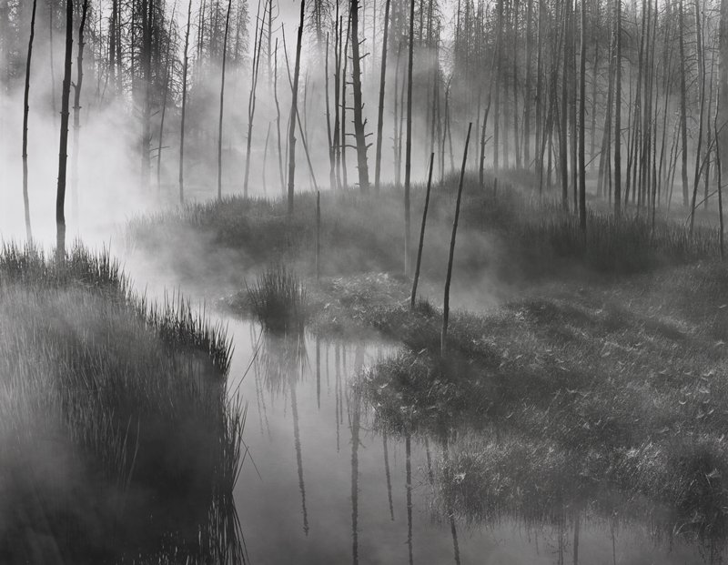 Thermal Swamp, Yellowstone, Number 1, Frederick B. Scheel, September 22, 1999