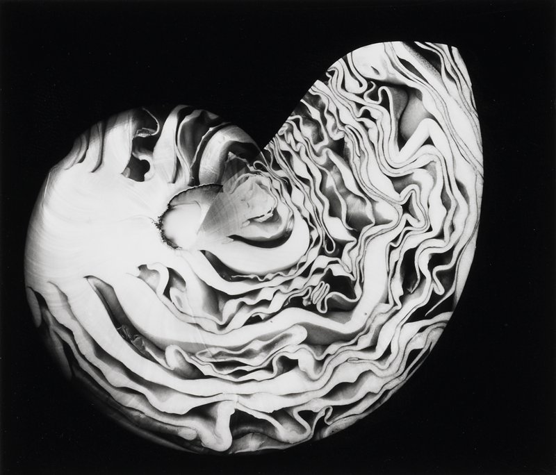 Fargo No.5 Experiment, Frederick B. Scheel, 1988