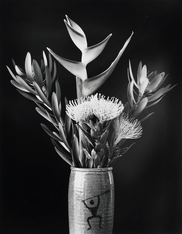 Helconia, Desert Sunset, and Protea in Petroglyph Vase, Hawaii, Frederick B. Scheel, January 17, 1999