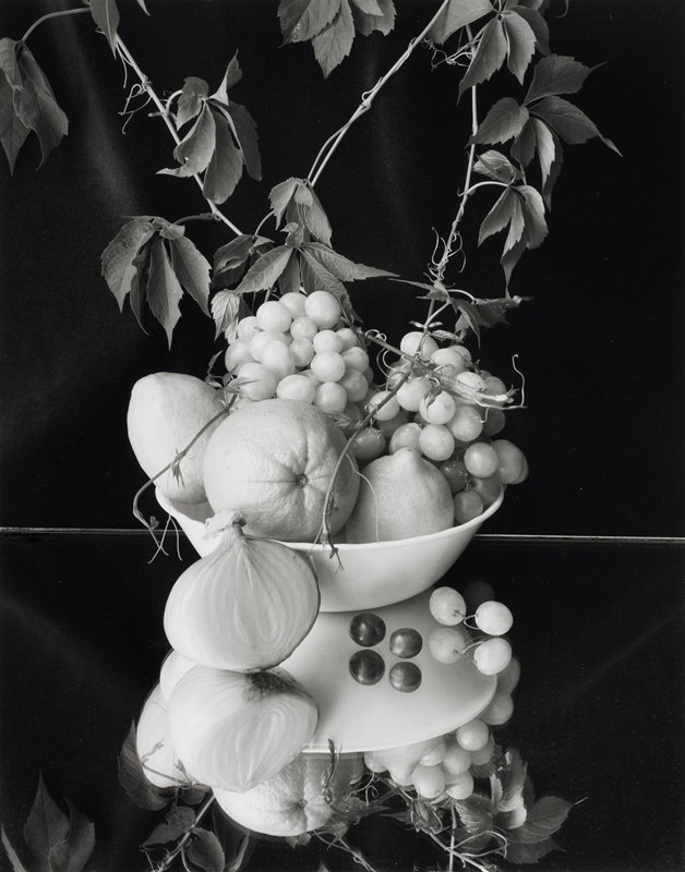 Fruit Bowl with Vine and Reflection, Frederick B. Scheel, August 11, 2001