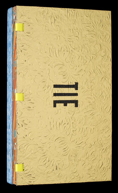 Led Almost By My Tie, Jessica Stockholder, 2007