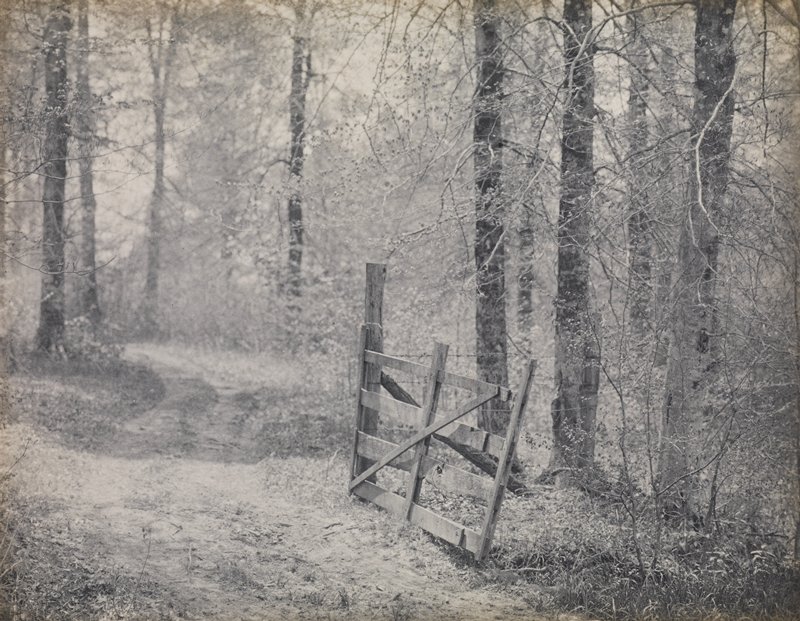 Untitled [gate in woods], Theodore Eitel, c. 1915
