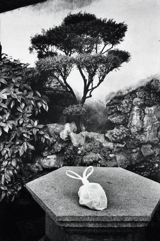 A Small Rabbit in the Garden of Mandarin Yu, Shanghai, Marc Riboud, 2002