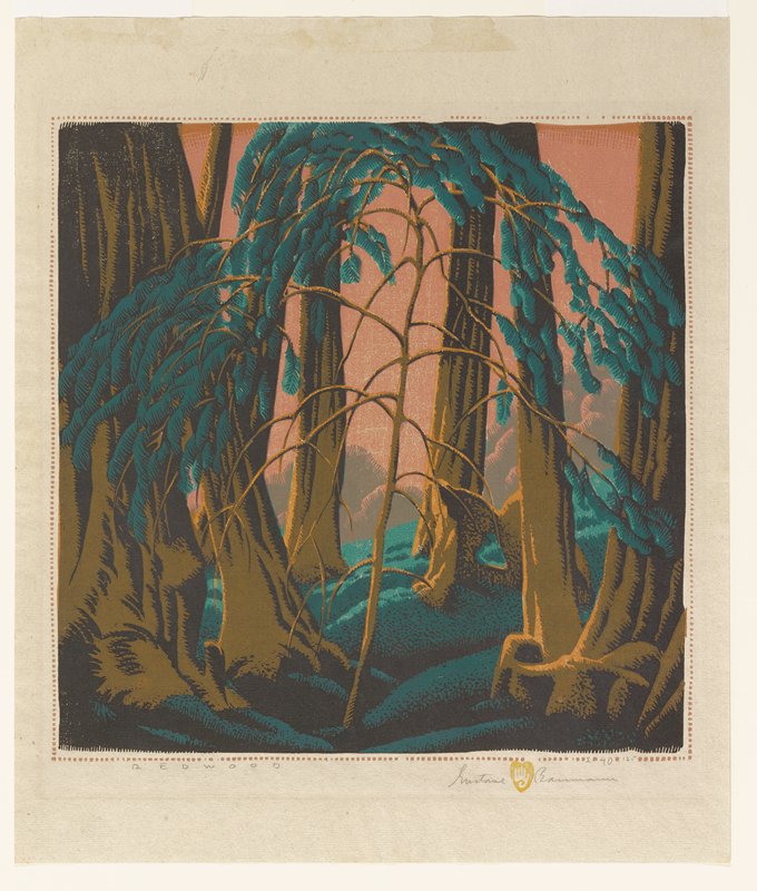 Redwood, Gustave Baumann, 1934