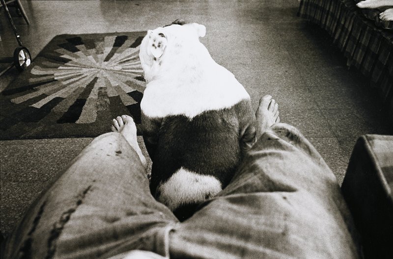 Bull Dog, plate 8 from, Fun, Friends, and Relatives, Ramon J. Muxter, 1968