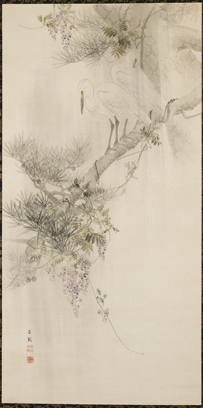 Egrets, Pine and Wisteria, Nishiyama Hōen, 19th century