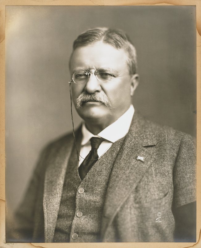 Theodore Roosevelt, Baker Art Gallery, c. 1910
