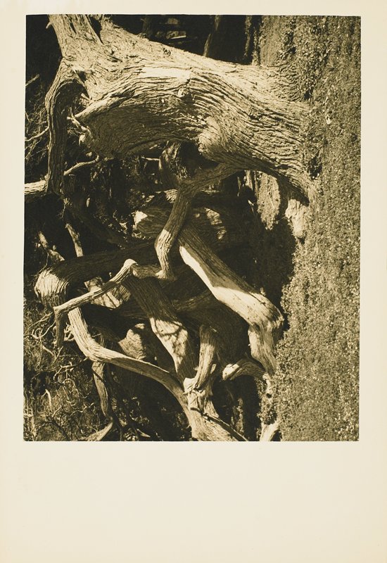 Untitled, Drahomir Josef Ruzicka, 20th century