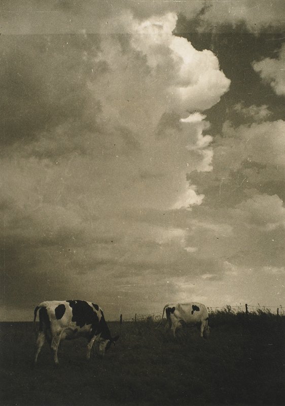 The Coming of the Storm, Sunnyside Farm, Drahomir Josef Ruzicka, 20th century