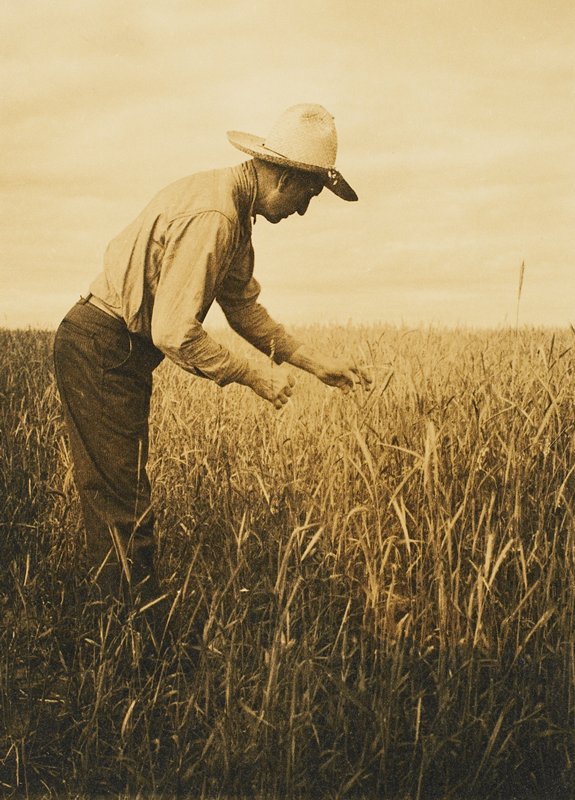 Amiel Hledik, Drahomir Josef Ruzicka, 20th century