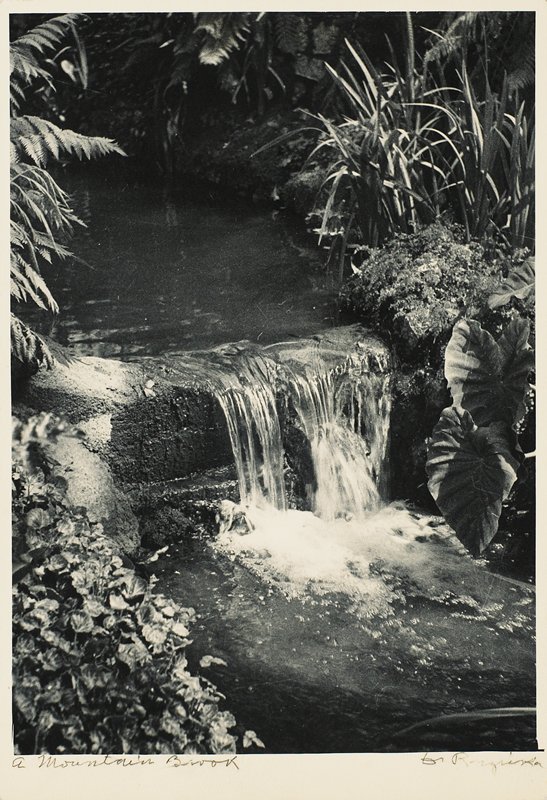 A Mountain Brook, Drahomir Josef Ruzicka, 20th century